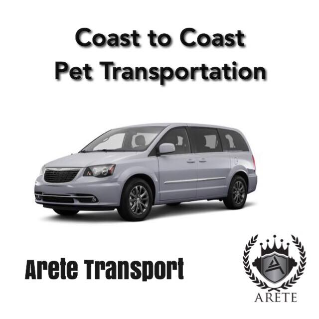 Depósito de transporte de mascotas